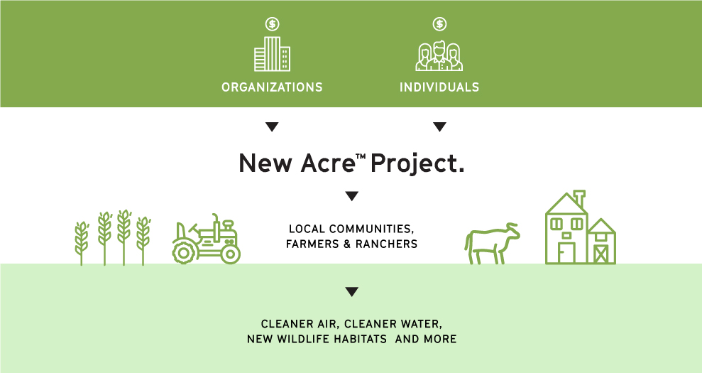 New Acre Project: How It Works Infographic