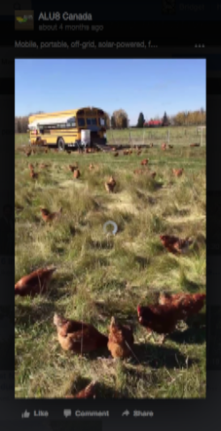 The Red Deer Chicken Bus 