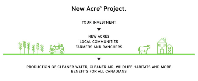New Acre Project infographic