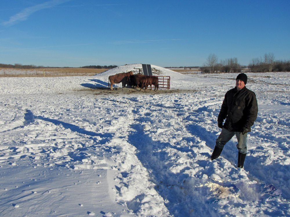 Kevin Ziola’s ALUS projects help conserve wetlands in Red Deer County
