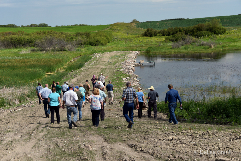 Terry Mearns' guided tour of 16-acre wetland restored and enhanced through ALUS.