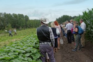 Guided tour of the Edmonton Corn Maze ALUS Project
