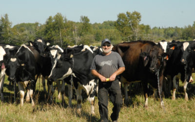 Qu’ont en commun les Holstein, les terres humides et la faune?