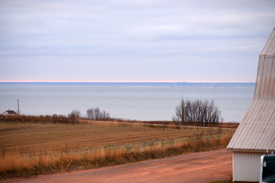 This view of the Northumberland Strait from the MacLennan farm is a beautiful daily reminder that, eventually, all water flows to the sea. By protecting the streams and rivers on their land, ALUS participants help produce cleaner water for everyone downstream. (Photo: Shawn Hill)