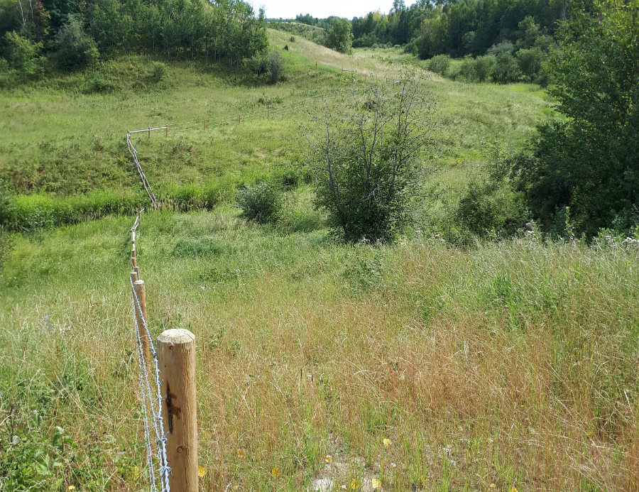 The first of many ALUS projects at Movald Farm, this wildlife-friendly cattle fence, established in 2017, serves to keep cattle out of a wetland to keep the water clean, while also protecting the bank to improve biodiversity, all important ecosystem services. 