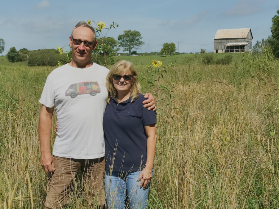 ALUS Lambton participants Scott and Susan Stephens maintain eight ALUS projects on environmentally sensitive parcels of land on Meadowlea Farms, including this Ontario native tallgrass prairie project producing excellent habitat for pollinators and wildlife. 