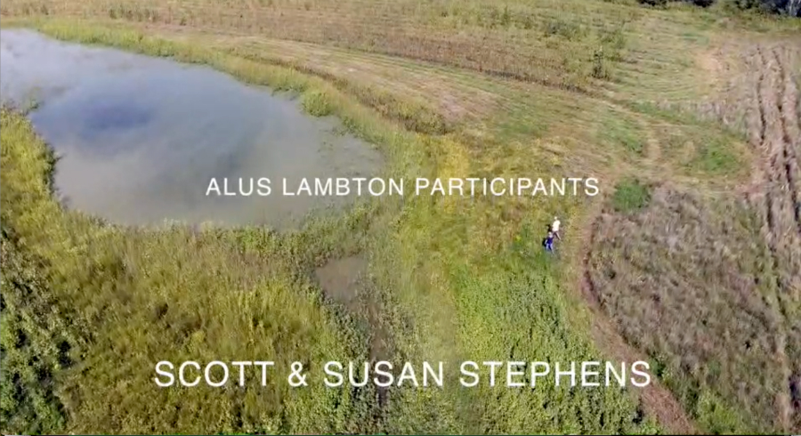 ALUS Lambton participants Scott and Susan Stephens produce 25 acres of ecosystem services (cleaner air, cleaner water and more biodiversity) in Brigden, Ontario. 