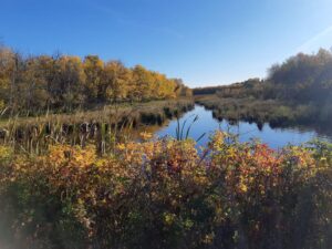 Roy Eckert's land, from ALUS  Wetaskiwin-Leduc, Alberta 