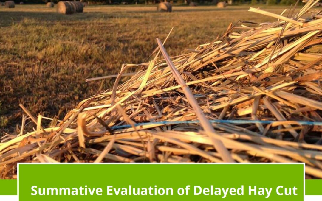 Summative Evaluation of Delayed Hay Cut Initiative on Prince Edward Island.