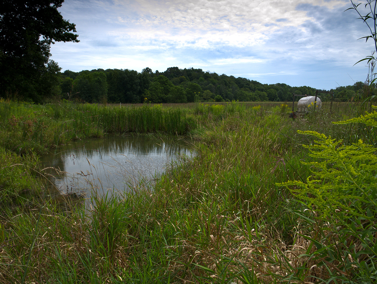 Sarah Hargreaves and Drake Larsen's wetland project (© Greg Lynch, Huff Media).