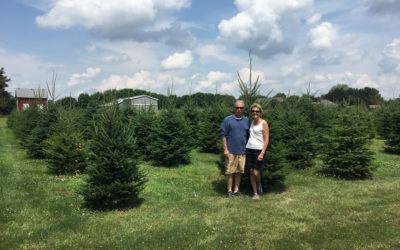 Catie Metcalfe and Gene Bystryk: The Gift of Sustainability on Their Christmas Tree Farm