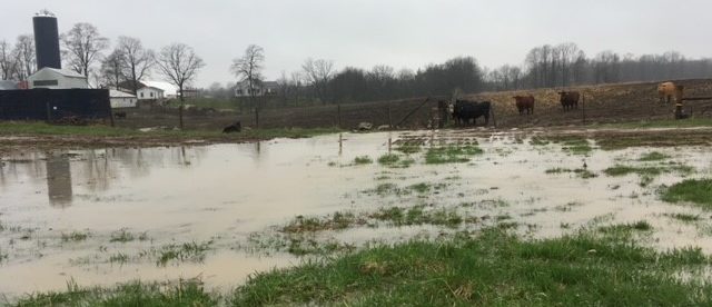 climate change increases chance of flooding flooded-land-unsuitable-for-pasture-christopher-crump-ALUS-middlesex