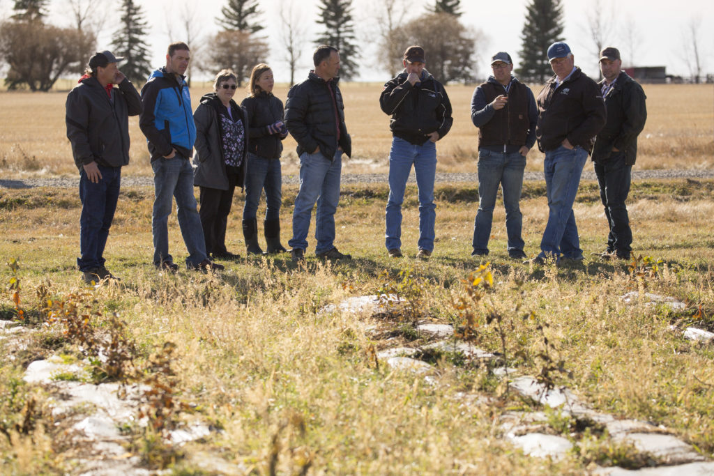 Fostering Resilience within Alberta’s Rural Communities