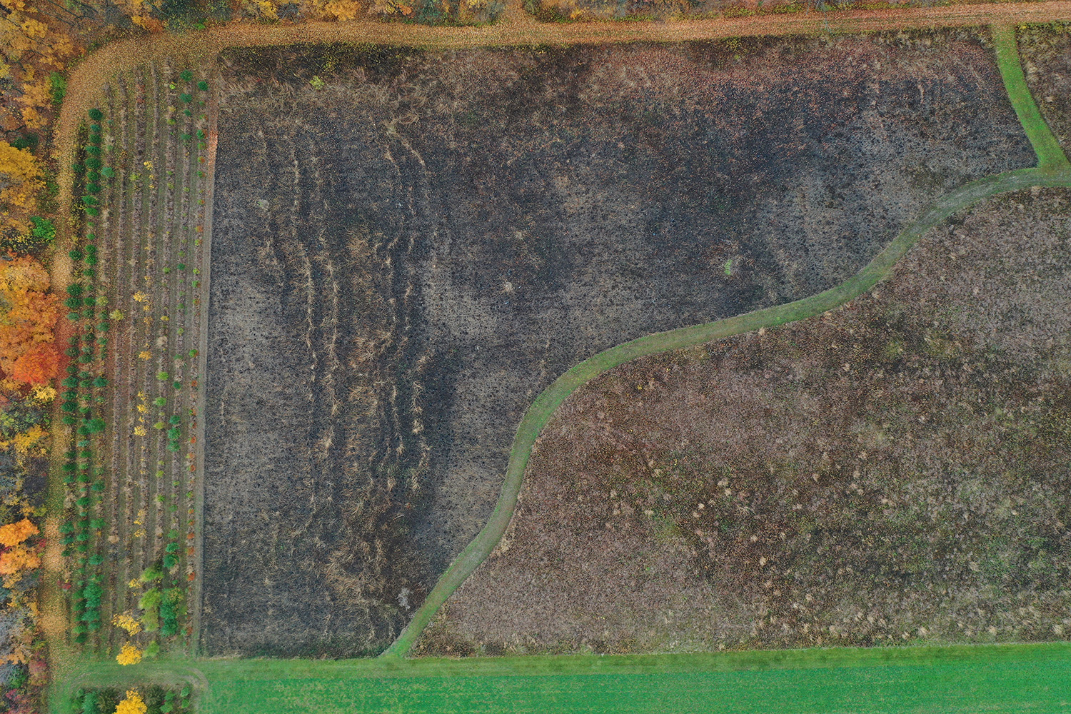 Aerial image of burned tall grass prairie