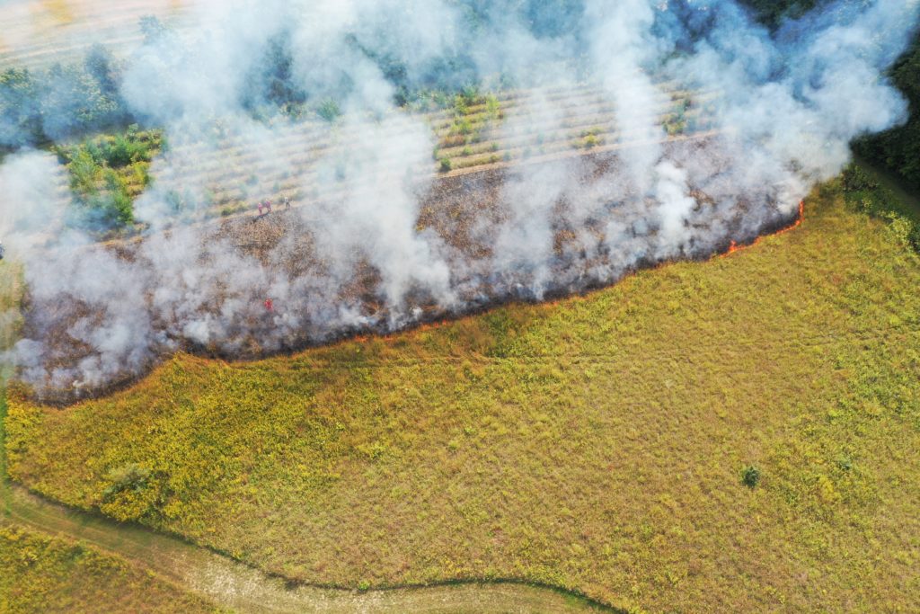 Using Fire to Restore a Tallgrass Prairie in Middlesex County, ON