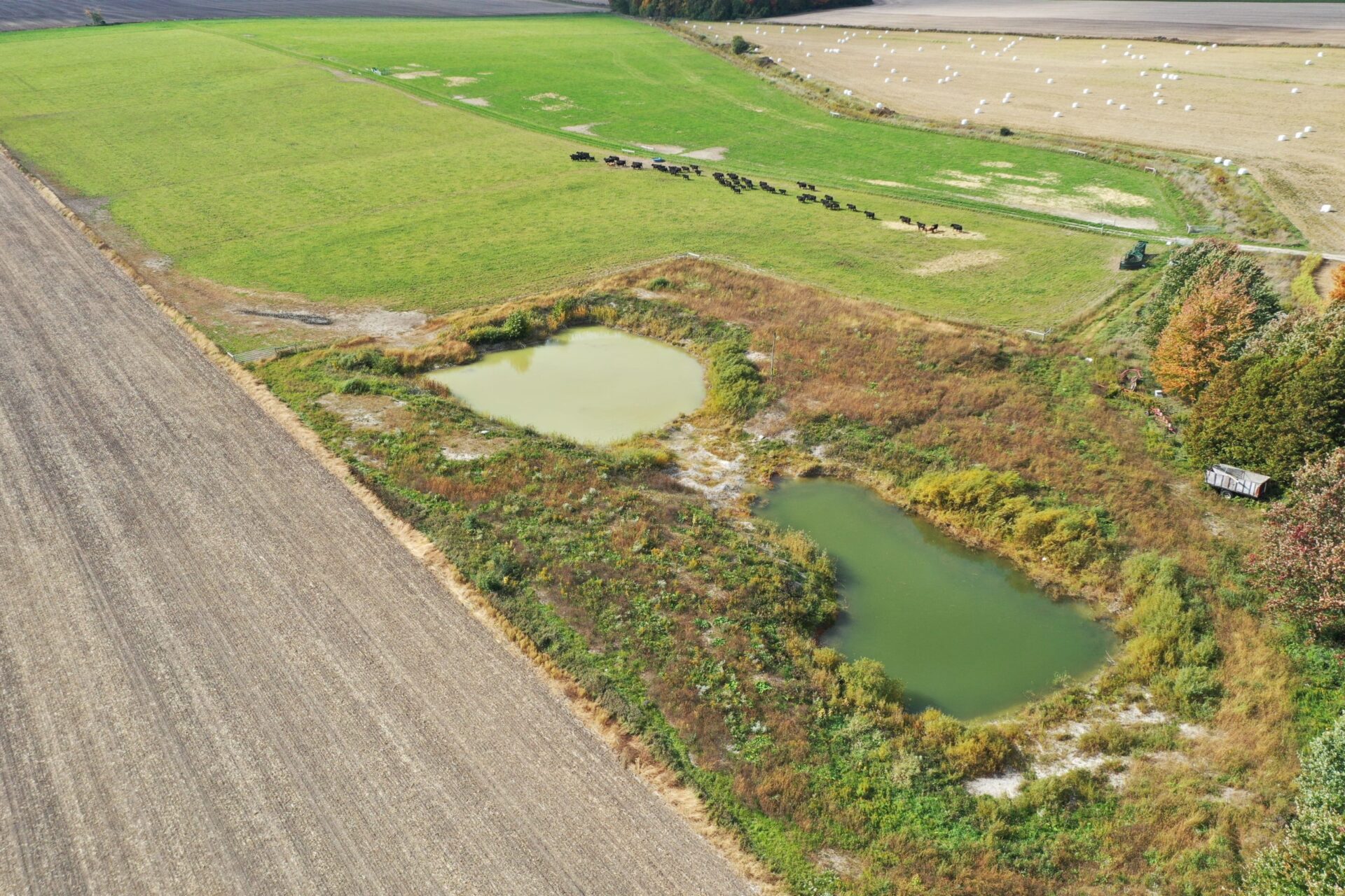 Wetlands in Middlesex