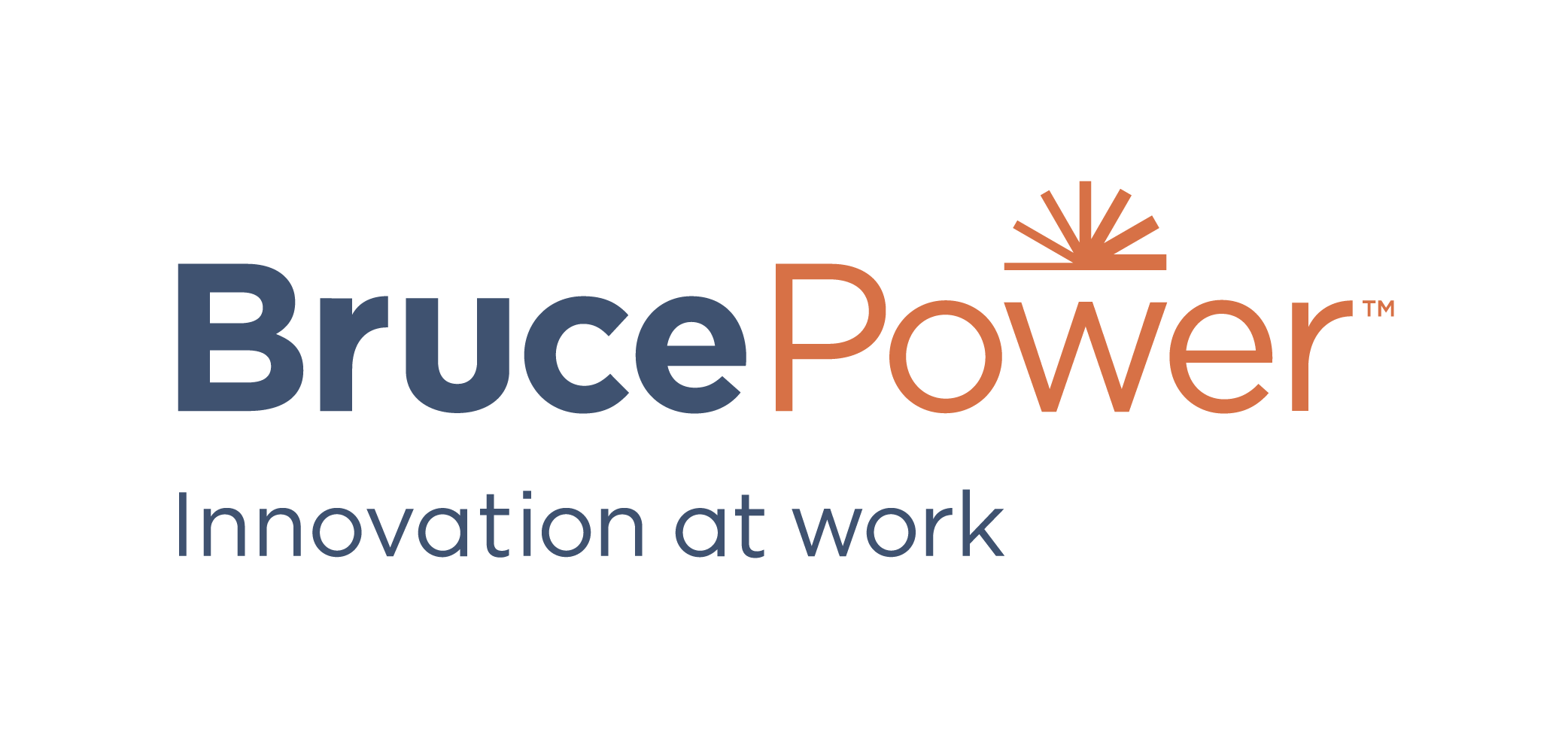 Bruce Power Logo.