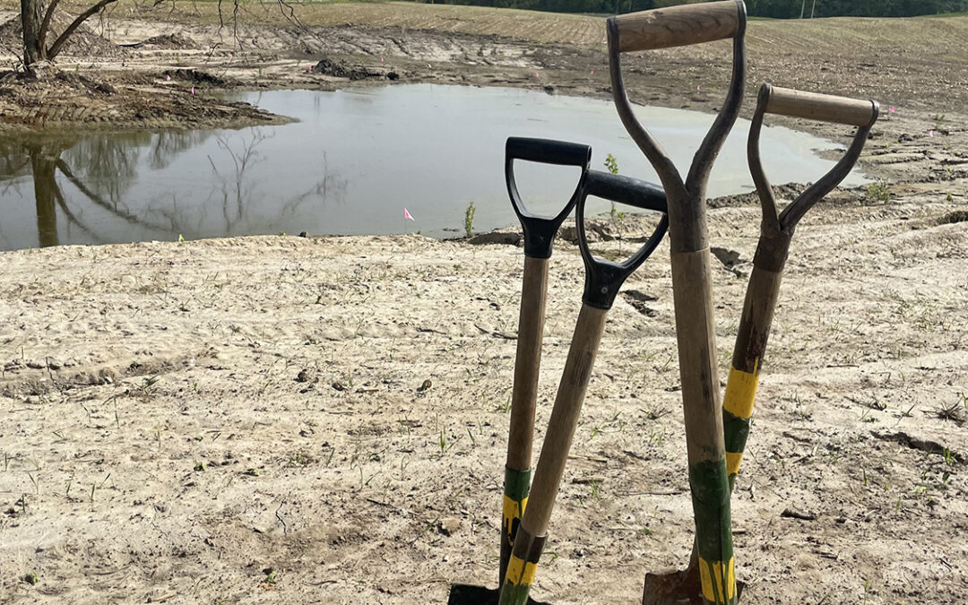 Generating Wetland Benefits in Peterborough and Middlesex Counties