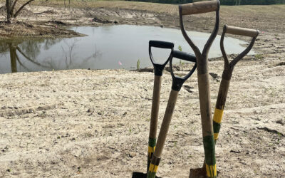 Generating Wetland Benefits in Peterborough and Middlesex Counties