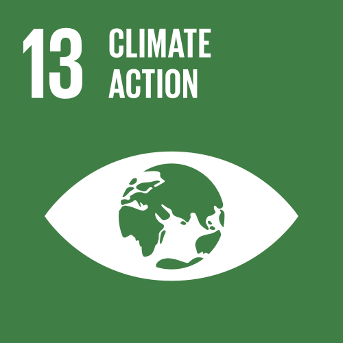 globalgoals_icons_color_goal_13