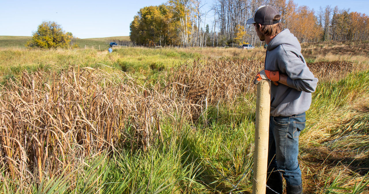 Fenching_wetland_farmer_nature based solutions IMG_9111