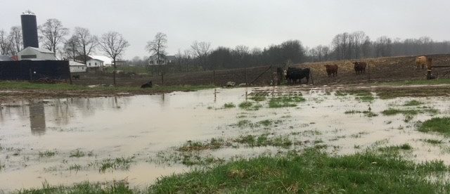 climate change increases chance of flooding flooded-land-unsuitable-for-pasture-christopher-crump-ALUS-middlesex