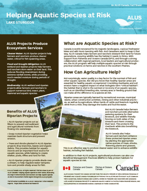 ALUS-DFO-fact-sheet-Lake-Sturgeon-lores