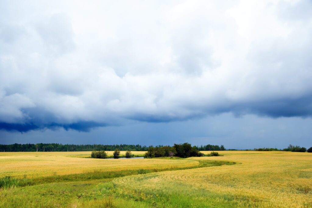 Une nouvelle collectivité ALUS voit le jour dans le nord-ouest de l’Alberta