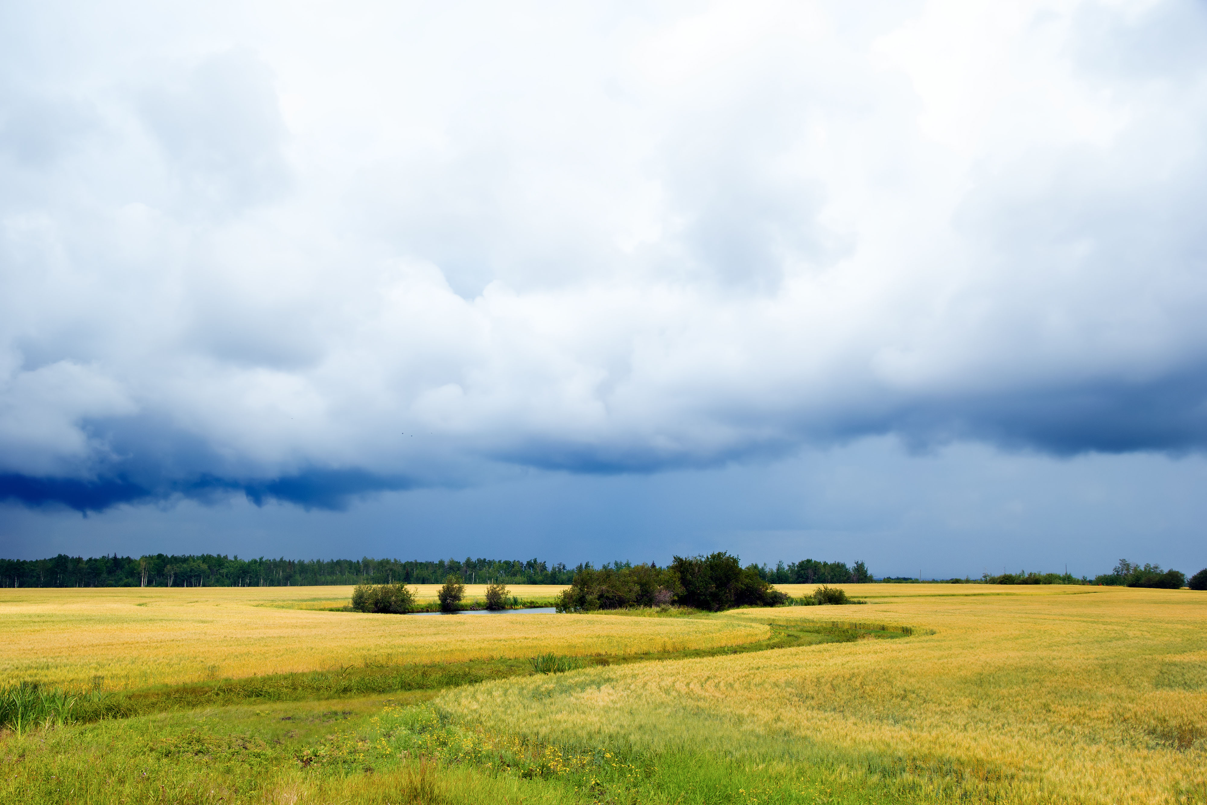 Saddle Hills county, in northwesten Alberta