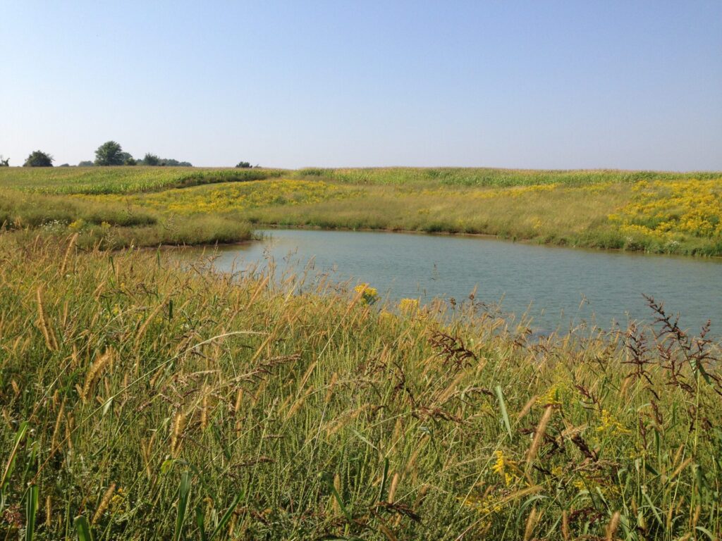 On-farm climate resilience you can see and touch