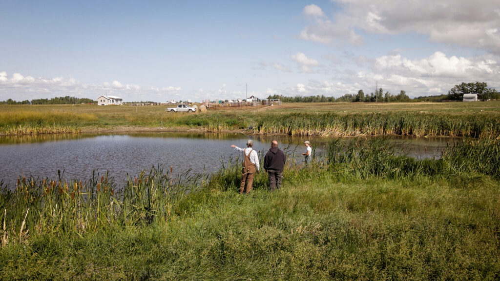 Wetlands on Working Lands for Climate Resilience