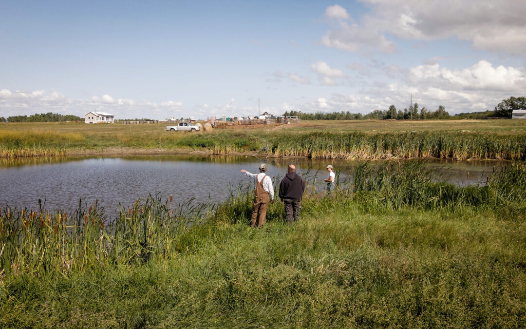 Wetlands on Working Lands for Climate Resilience