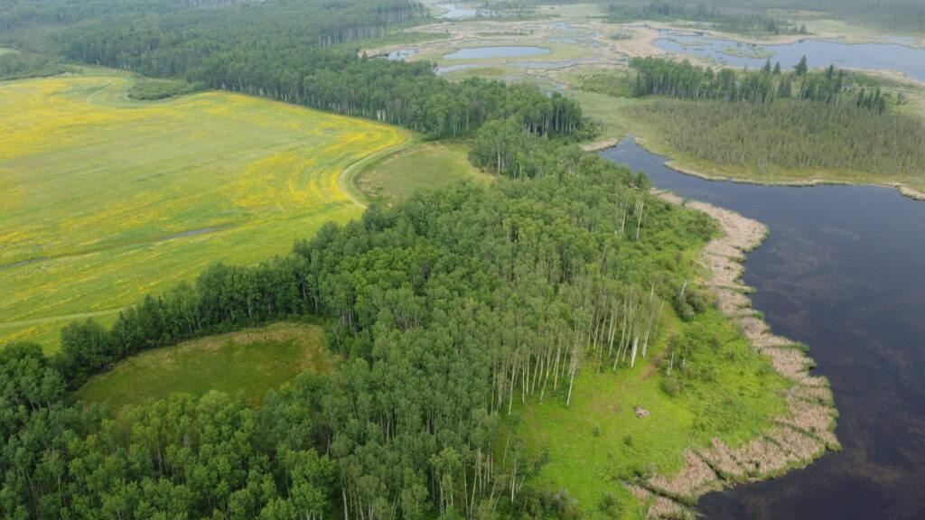 ALUS and APOS Continue to Create and Enhance Alberta’s Wildlife Habitats