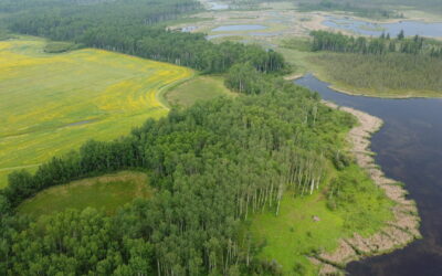 ALUS and APOS Continue to Create and Enhance Alberta’s Wildlife Habitats