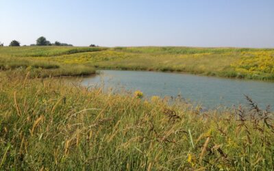 Une résilience agricole que vous pouvez voir et toucher