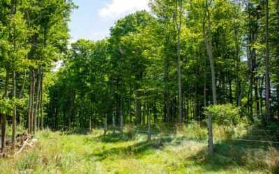 Bruce Power and ALUS Celebrate Completion of Three-Year Nature-Based Climate Investment in Grey-Bruce