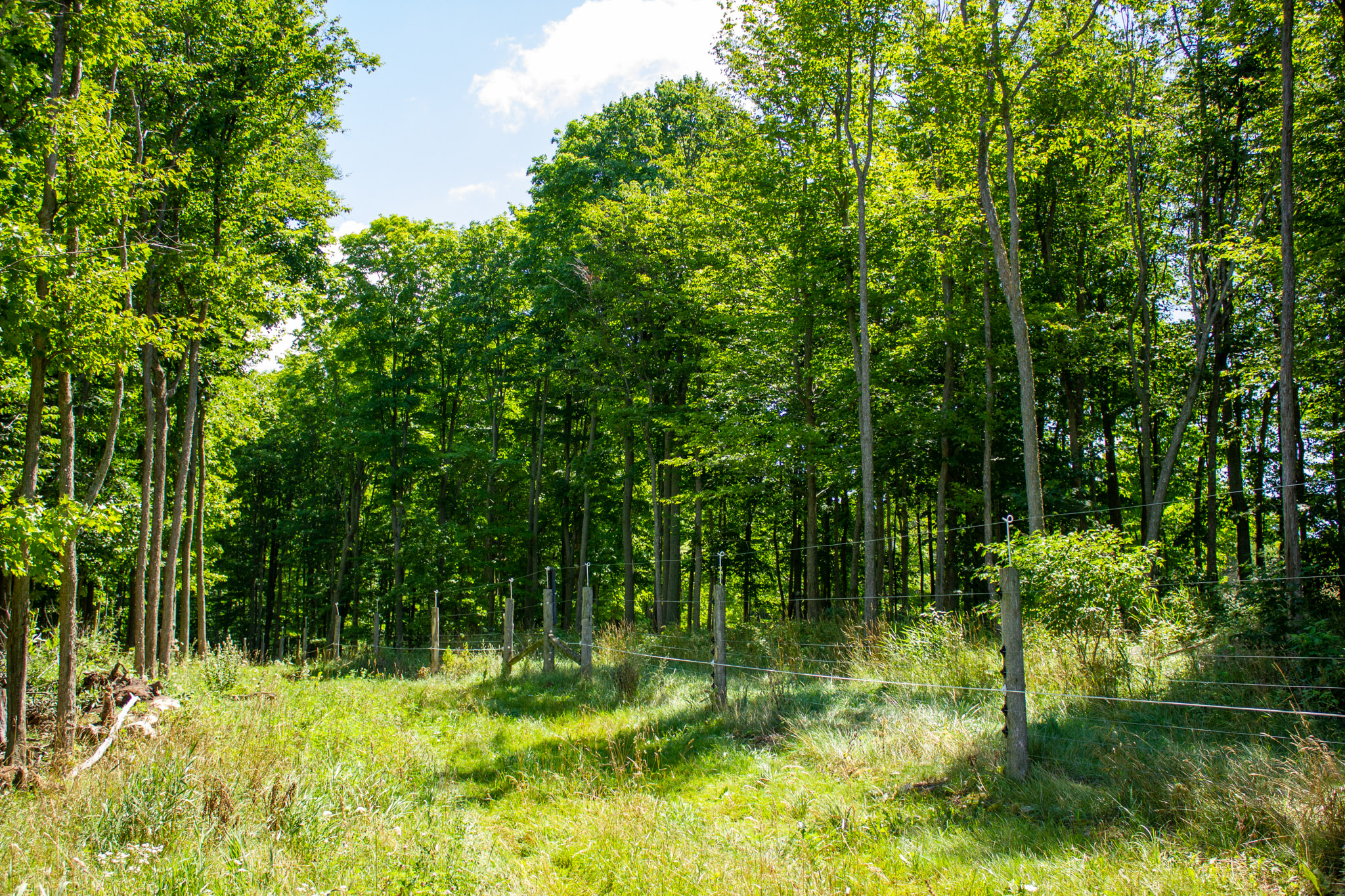 Jordan Sinclair and Bryan Gilvesy at the East Hub Conference held in Outaouais, Quebec, in October 2024. (photo: Jan Amell)