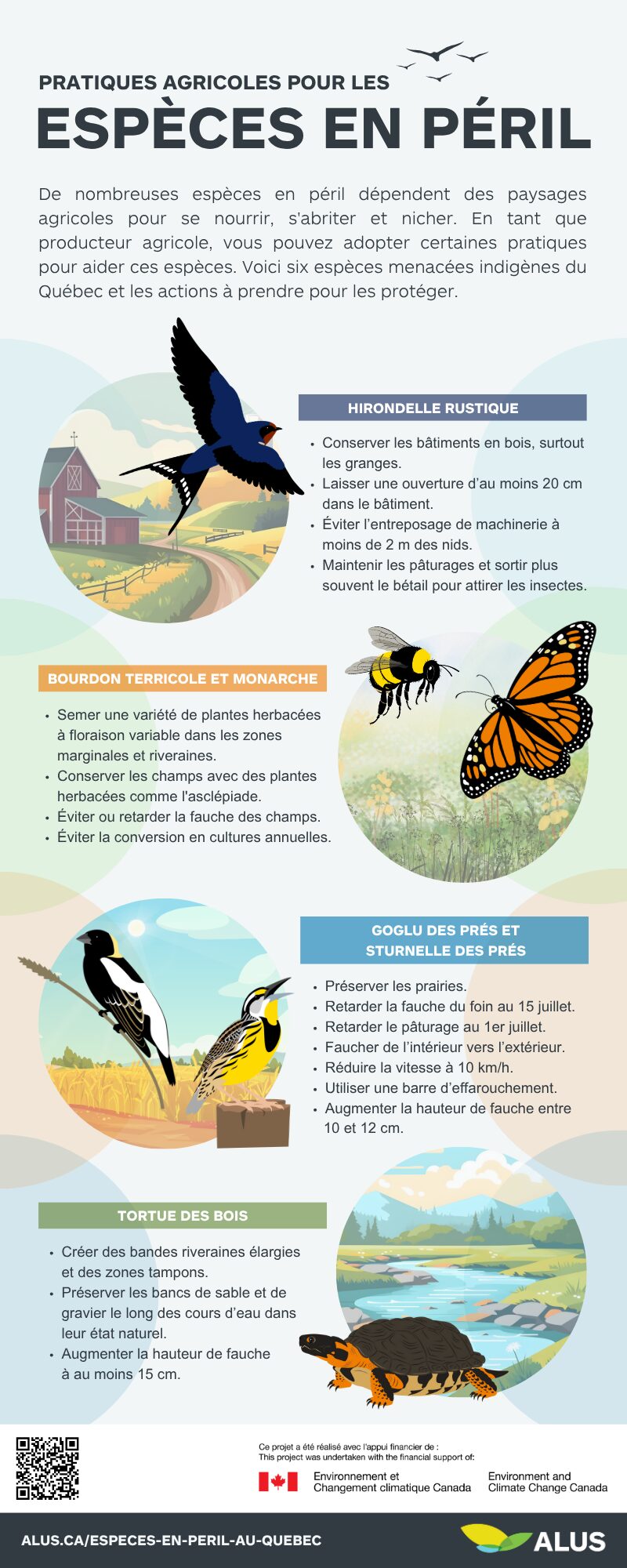 Pratiques agricoles pour les espèces en péril - Infographie.