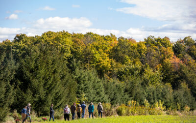 Wawanesa champions farmers and ranchers as producers of climate solutions