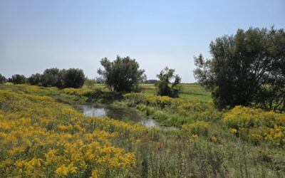 ALUS secures $2.2 million in funding from Ontario’s Resilient Agricultural Landscape Program