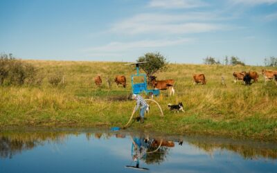 ALUS Farmers Continue to Work for the Health of Lake Winnipeg