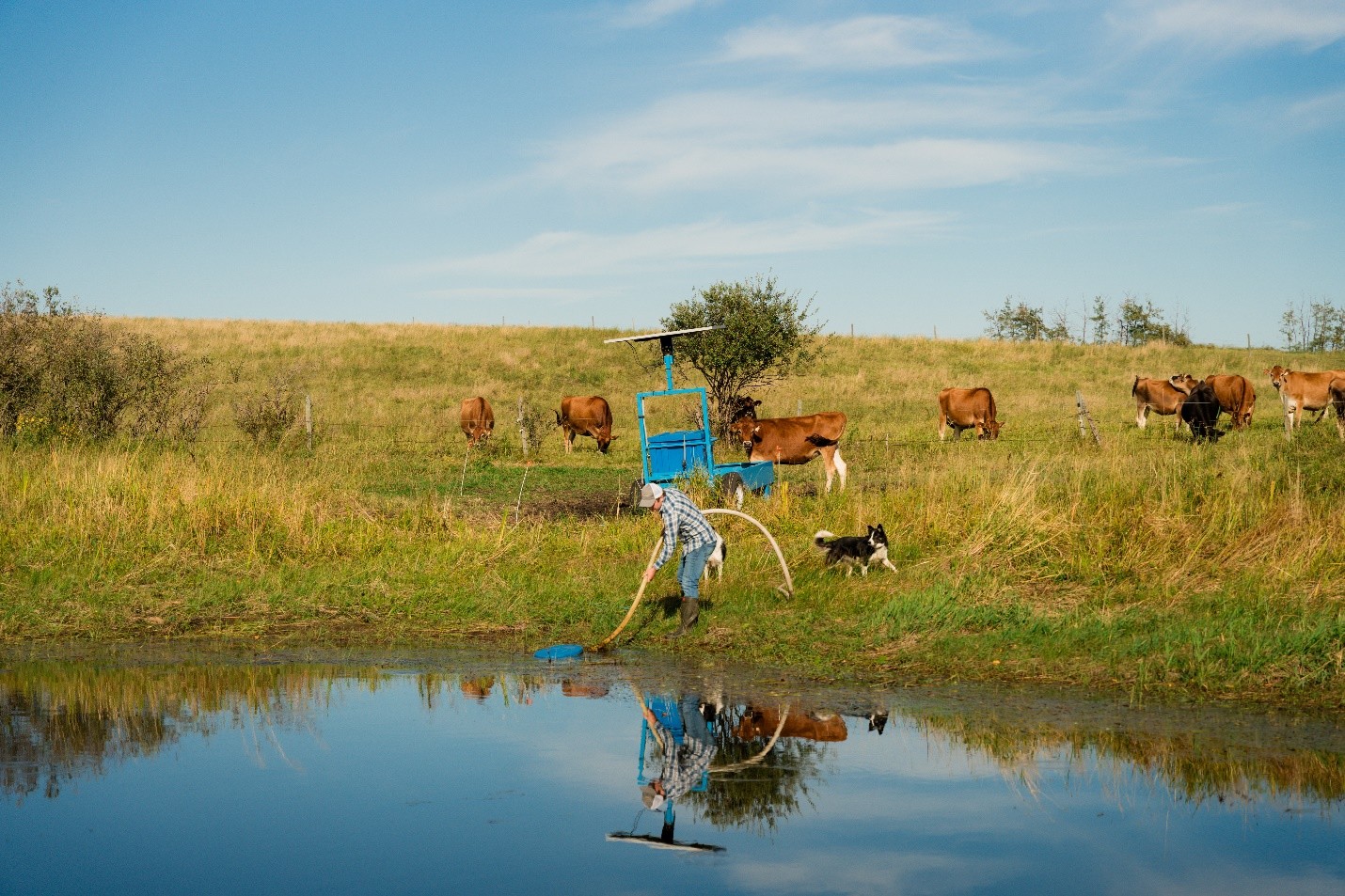 ALUS Assiniboine West participant, Sean Smith, manages a solar watering system, which prevents fouling of the wetland in the foreground and still provides his herd with fresh water.